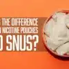 Nicotine Pouches vs Snus in 2026